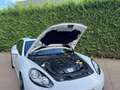 Porsche Panamera 3.0 Diesel Edition Blanc - thumbnail 14