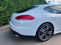 Porsche Panamera 3.0 Diesel Edition Blanc - thumbnail 11