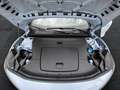 Volvo EX30 Ultra, Twin Motor Performance, Vollelektrisch Duty Free Edit Blau - thumbnail 19