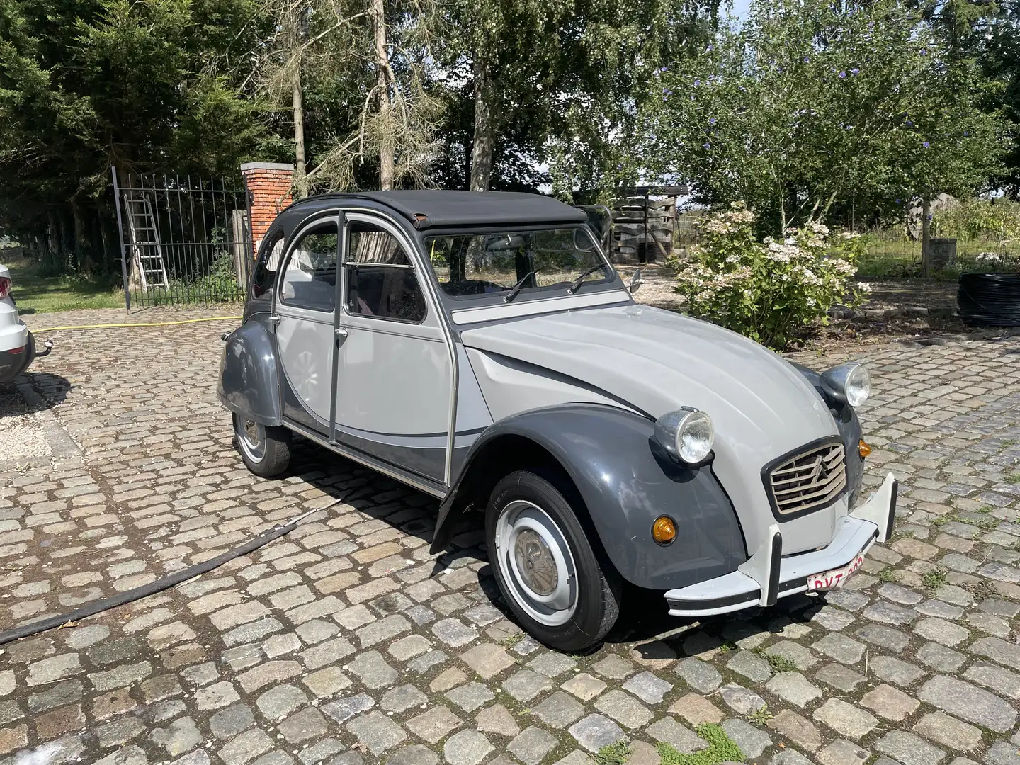 Citroen 2CV - 1