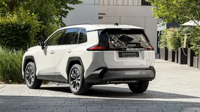 Toyota Rav 4 view 10