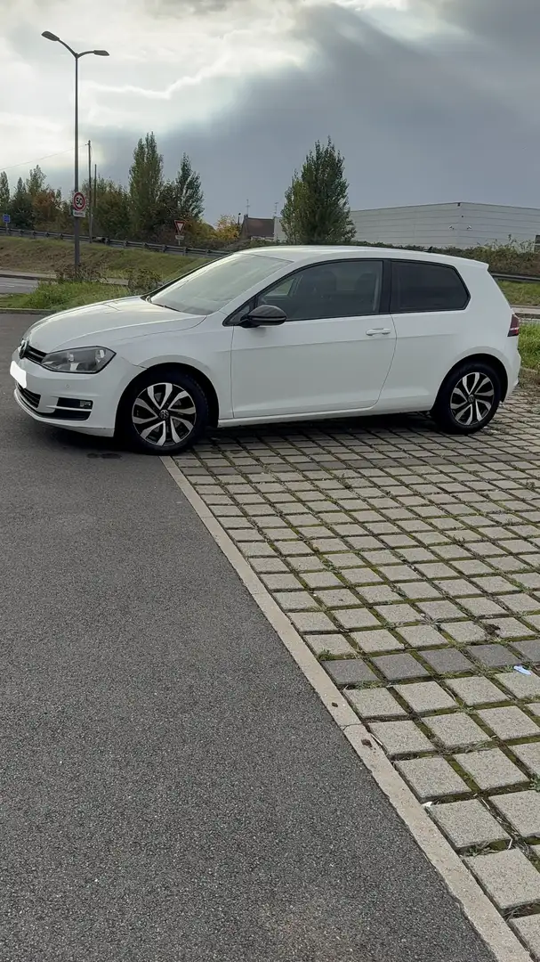Volkswagen Golf 1.6 TDI 105 BLUEMOTION TECHNOLOGY FAP TREN - 2