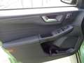 Ford Kuga Kuga 2.5 Full Hybrid 180 CV CVT 2WD Active X Verde - thumbnail 8