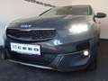 Kia XCeed "GOLD" MIT EXTREM WENIG KM Grau - thumbnail 34