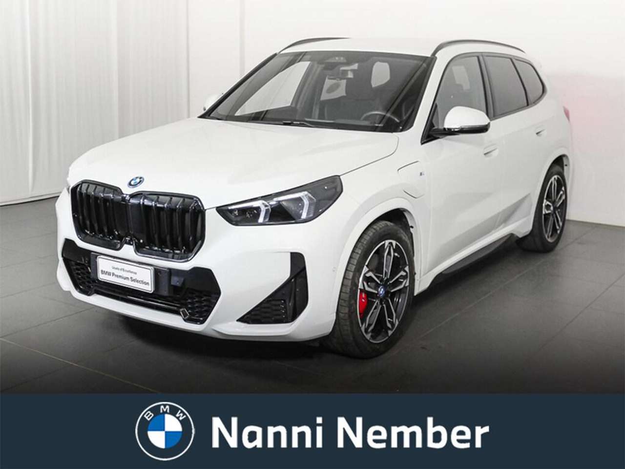 BMW X1 xdrive 25e MSport Pro auto