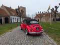Volkswagen T4 Allstar VW Kever Cabrio 1500 1970 | Poppy Red | Body-off Rot - thumbnail 2
