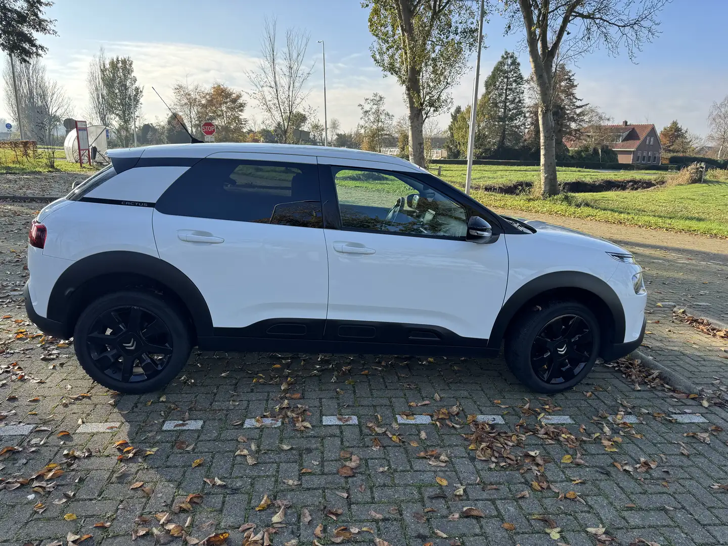 Citroen C4 Cactus 1.2 PT Business Wit - 2