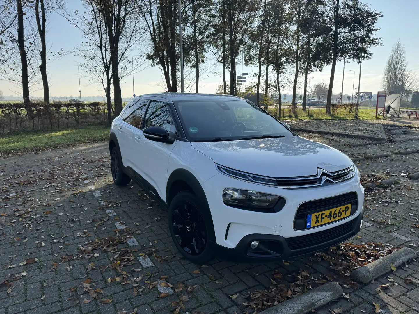 Citroen C4 Cactus 1.2 PT Business Wit - 1