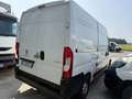 Peugeot Boxer 2.2/140 CV/100000 KM/2022 Blanc - thumbnail 4