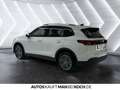 Volkswagen Tiguan 2.0 TDI DSG Life LED LHZ SHZ KAM NAVI ACC Wit - thumbnail 3