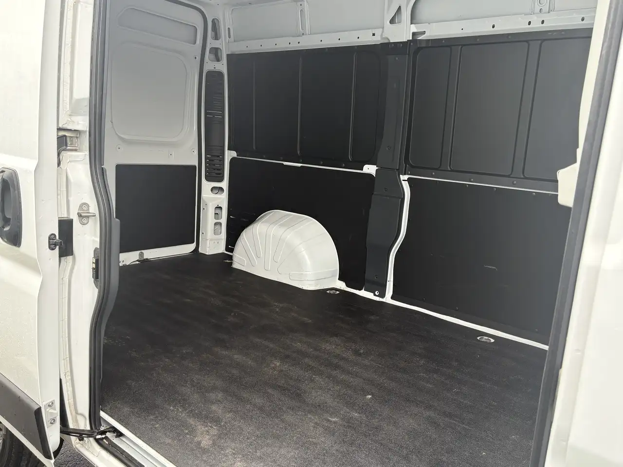 RAM Promaster снимка RAM Promaster