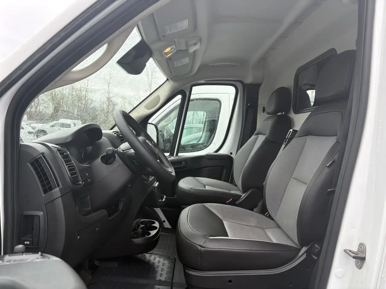 RAM Promaster снимка RAM Promaster