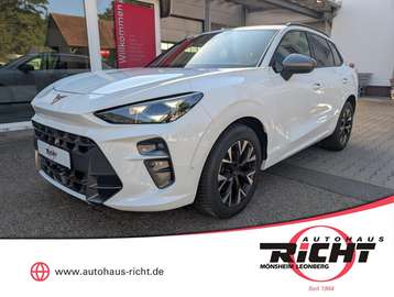 1.5 eTSI DSG Leichter Hagelschaden Edge Design Dig