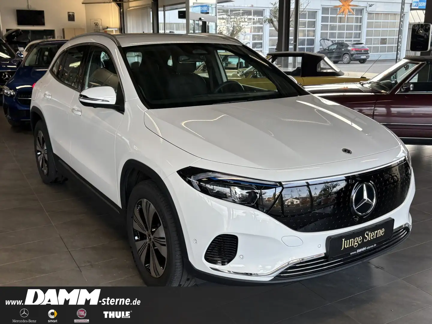 Mercedes-Benz EQA 250 EQA 250 Progressive Adv/360°/TWA/Winter-P./+Flex Weiß - 2
