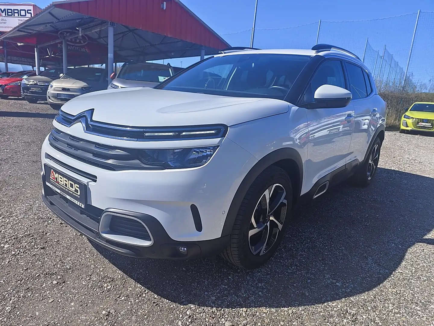 Citroen C5 Aircross PureTech 130 S&S Feel Weiß - 1