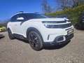 Citroen C5 Aircross PureTech 130 S&S Feel Weiß - thumbnail 7