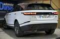 Land Rover Range Rover Velar 2.0D I4 150kW 204CV S 4WD Auto Blanc - thumbnail 10