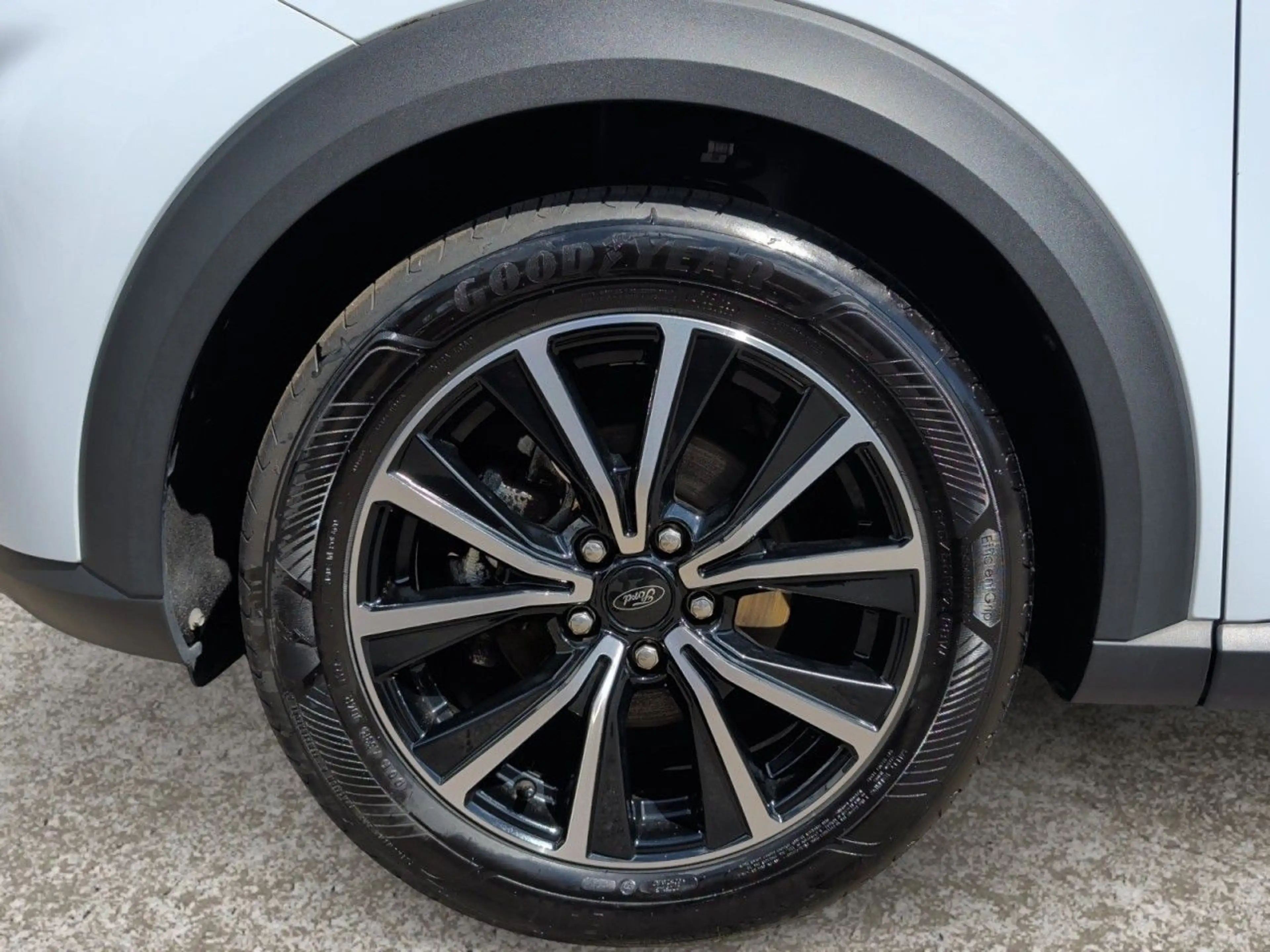 Ford Puma Titanium Design MildHybrid ParkPilot+Klima — photo 11