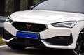 CUPRA Leon Sportstourer  Navi Ambiente RFK Weiß - thumbnail 9