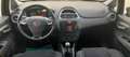 Fiat Punto Evo 1.2 5p Euro6B NeopatentatiOK Nero - thumbnail 10