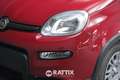 Fiat Panda 1.0 Firefly Hybrid 70CV Rosso - thumbnail 3