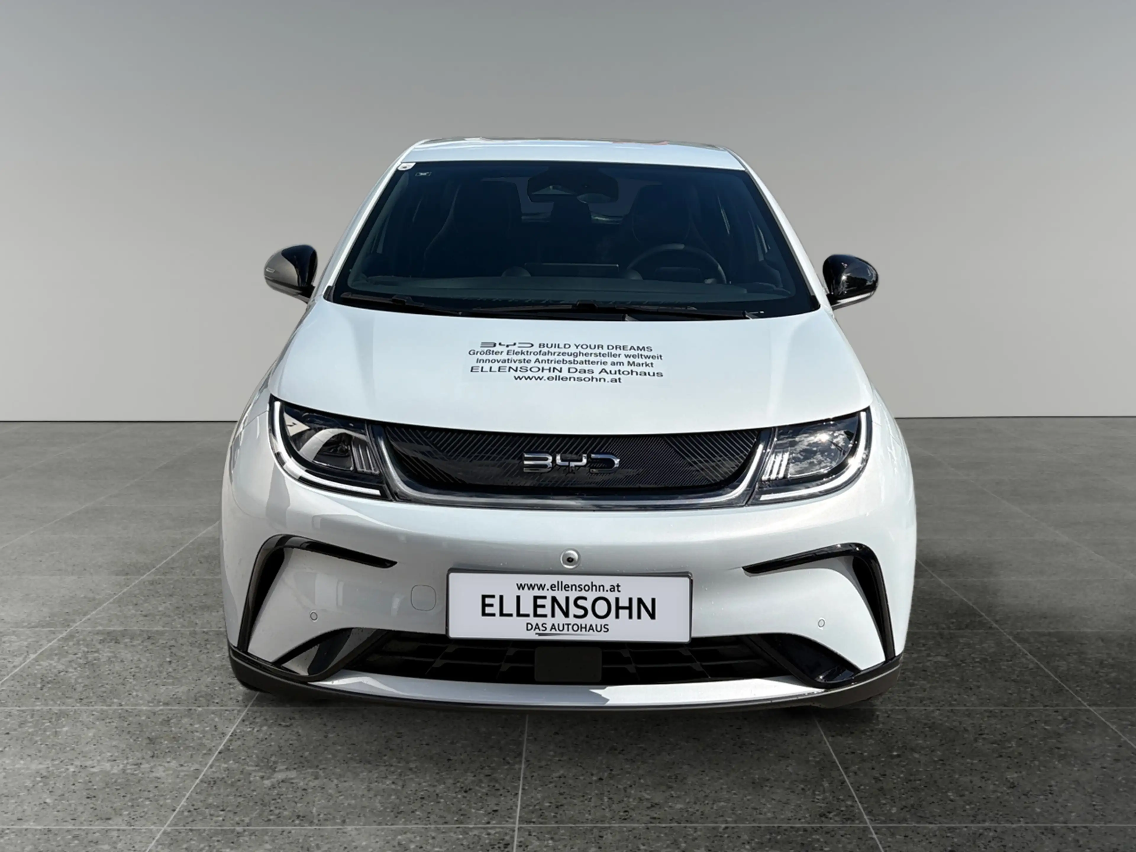 BYD Dolphin Comfort MY2025 — photo 7