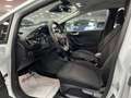Ford Fiesta Fiesta 5p 1.0 ecoboost h Titanium 125cv - thumbnail 8