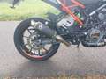 KTM 125 Duke Motorlaufleistung von nur 8018 km Schwarz - thumbnail 4