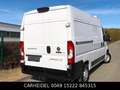 Fiat Ducato Hochr.-Kasten 35 130 L2H2 AHK KLIMA NAVI Blanco - thumbnail 16