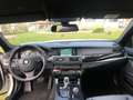 BMW 530 530d Platinum Bianco - thumbnail 7