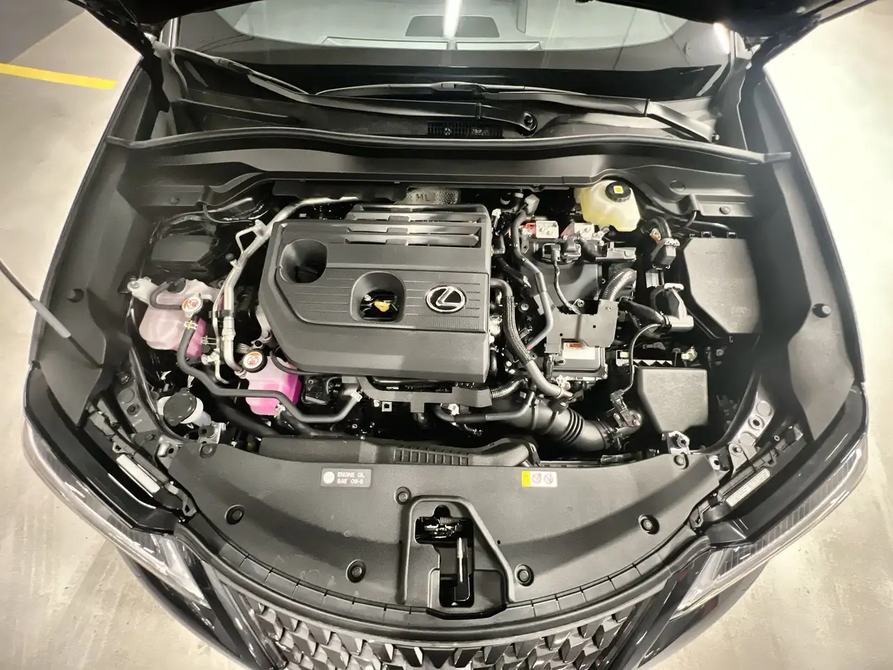 Lexus UX 300h fotografie Lexus UX 300h