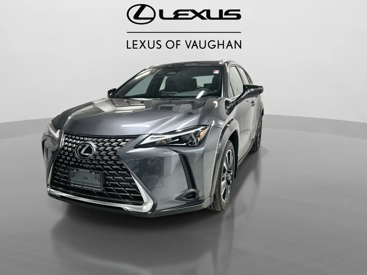 Lexus UX 300h fotografie Lexus UX 300h