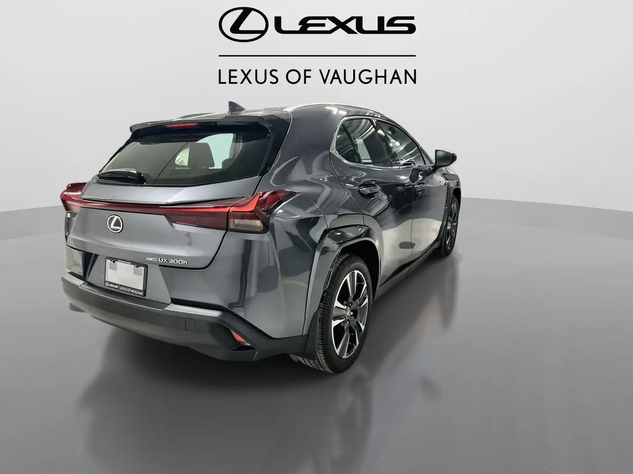 Lexus UX 300h fotografie Lexus UX 300h