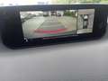 Mazda MX-30 35,5kWh GTE+ Premium Modern/Tech/SD Blanc - thumbnail 13