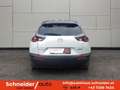Mazda MX-30 35,5kWh GTE+ Premium Modern/Tech/SD Blanc - thumbnail 5