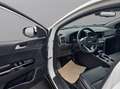 Kia Sportage 1.6 T AWD DCT Black Edition*AHK*PANO*LEDER*1.HAND* Blanc - thumbnail 10