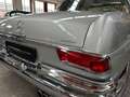 Mercedes-Benz 250 SE W111 Hamburg Schweiz UNGESCHWEIßT SSD AUT Argento - thumbnail 20