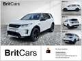 Land Rover Discovery Sport D200 Dynamic SE  7 Seats LM Weiß - thumbnail 1