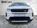Land Rover Discovery Sport D200 Dynamic SE  7 Seats LM Weiß - thumbnail 21