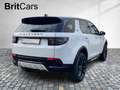 Land Rover Discovery Sport D200 Dynamic SE  7 Seats LM Weiß - thumbnail 5