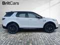 Land Rover Discovery Sport D200 Dynamic SE  7 Seats LM Weiß - thumbnail 6
