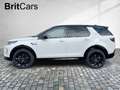 Land Rover Discovery Sport D200 Dynamic SE  7 Seats LM Weiß - thumbnail 3