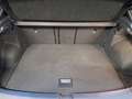 Volkswagen T-Roc 1.5TSI DSG R-Line Matrix Navi AHK Rear View Blau - thumbnail 18
