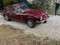 Triumph GT6 MK3, 35.000 km, Tutta documentazione originale Rouge - thumbnail 2