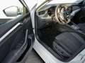 Skoda Octavia Combi 2.0 TDI Style ACC*HuD*Kamera*LED Bianco - thumbnail 14