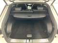 Genesis GV60 Sport Elektro 4WD Sportpaket Memory Sitze Soundsys Weiß - thumbnail 15
