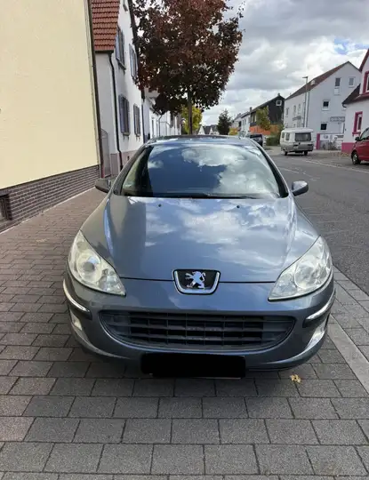 Peugeot 407 Esplanade
