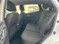 Renault Kadjar 1.5 DCI 116 Cv AUTOM. VAN NAVI/RET- 2020 Bianco - thumbnail 8