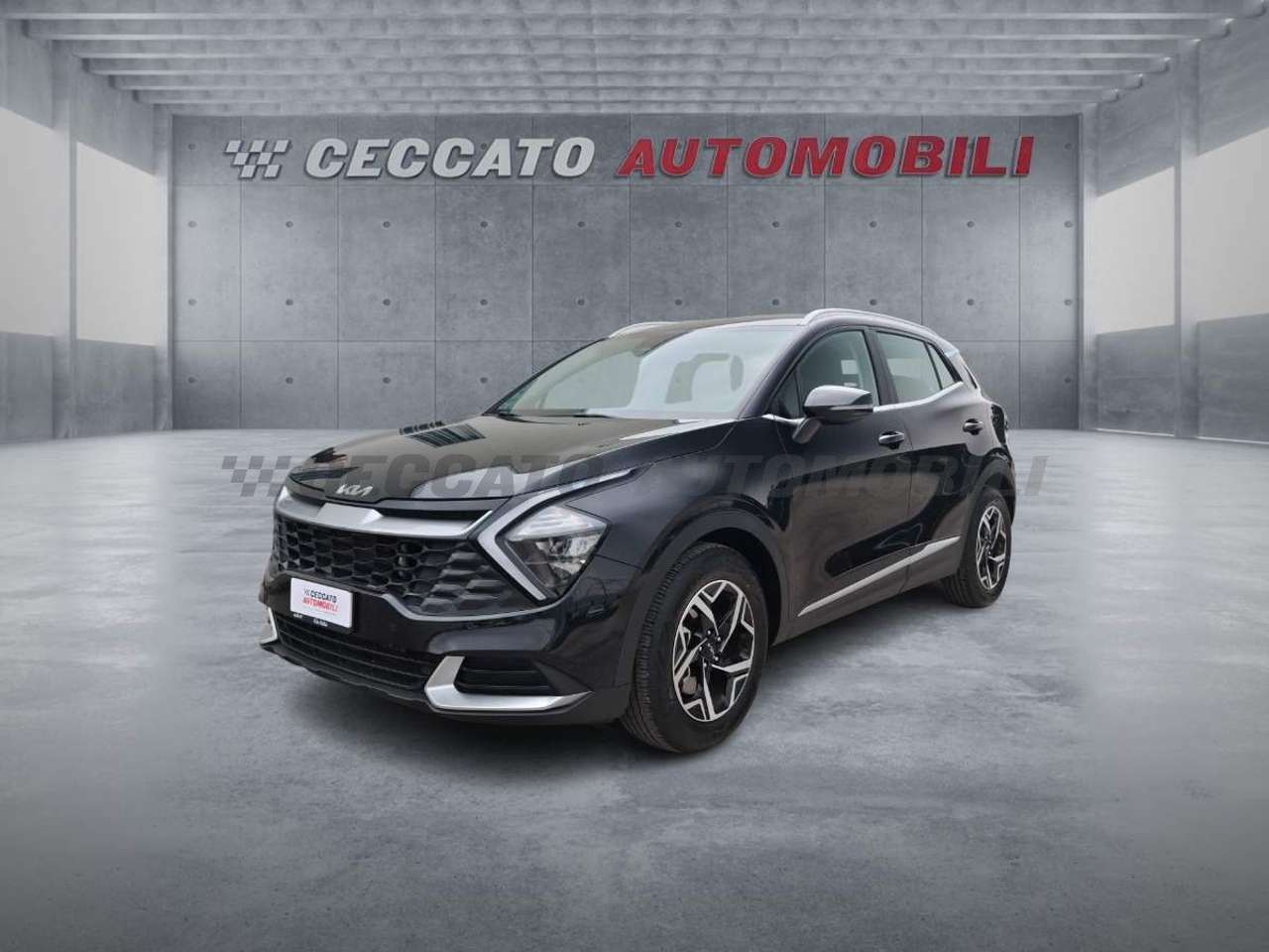 Kia Sportage Sportage 1.6 crdi mhev Business dct