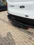 Ford Transit Transit Variobus 2,0 EcoBlue L2H2 310 Basis Basis Weiß - thumbnail 4